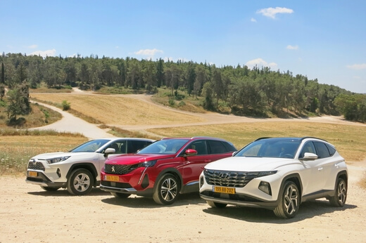 מבחן ג'יפונים